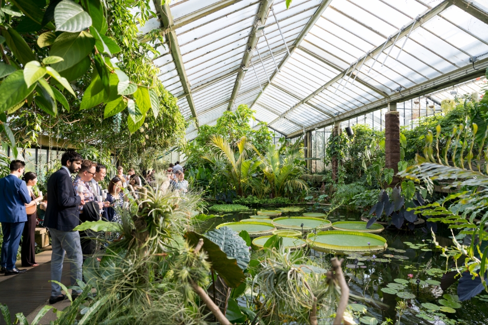 Gallery image 13: kew-gardens