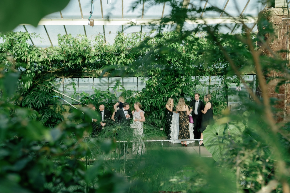 Gallery image 14: kew-gardens