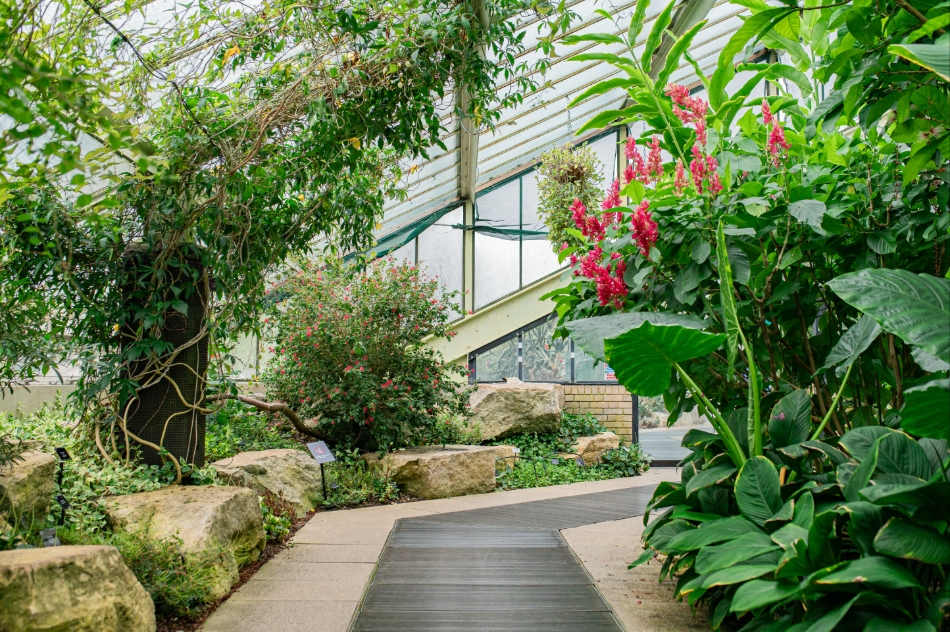 Gallery image 15: kew-gardens