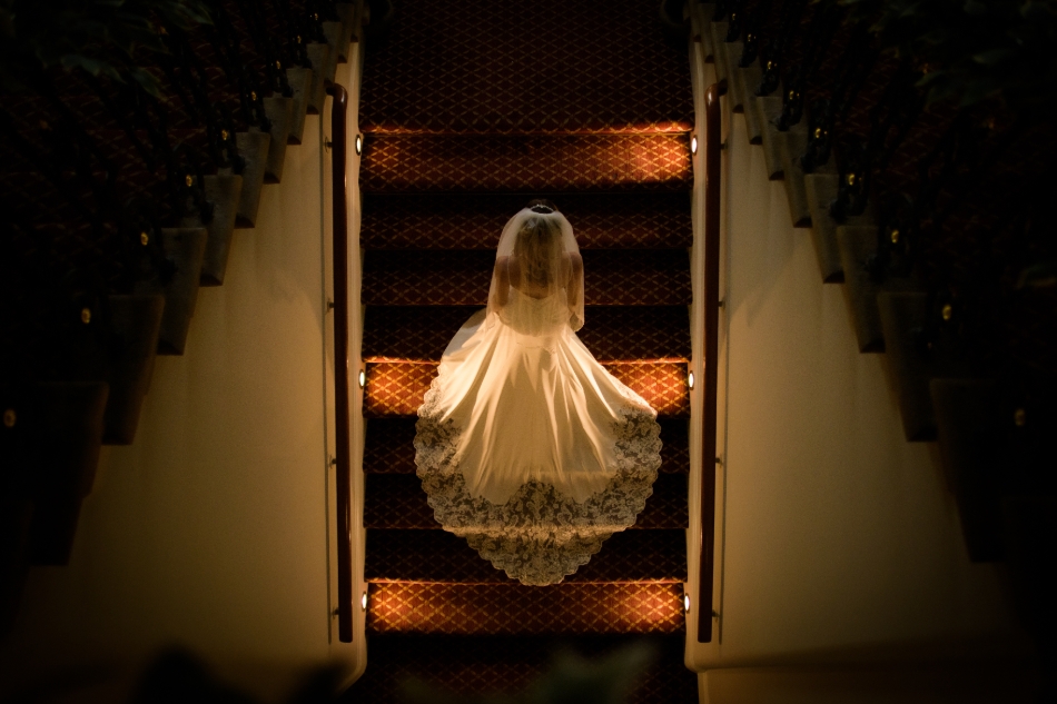 Image 2 from Ryan Cox Photography