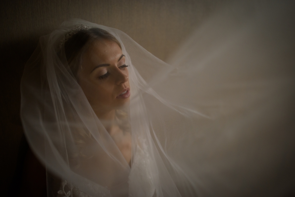Image 4 from Ryan Cox Photography