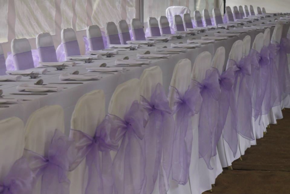 Image 4 from Distinctive Elegance
