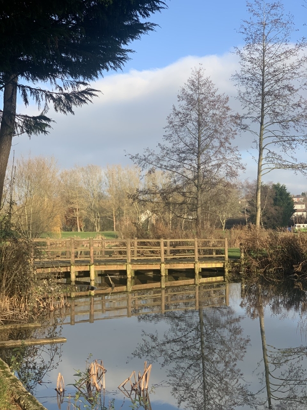 Image 8 from Coltsford Mill