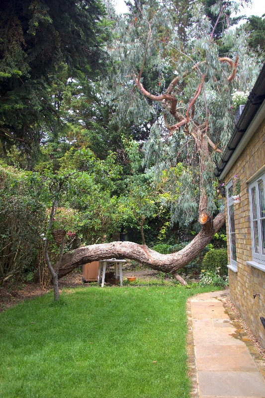 Image 9 from A GARDEN SALON