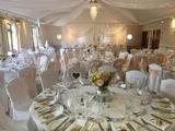 Thumbnail image 9 from Distinctive Elegance