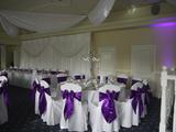 Thumbnail image 12 from Distinctive Elegance