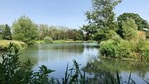Thumbnail image 4 from Coltsford Mill