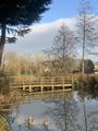 Thumbnail image 8 from Coltsford Mill