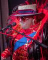 Thumbnail image 4 from 'Elton John' and 'The Party Man' At Your Wedding!