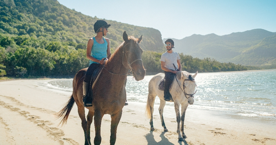 Image 3: Beachcomber Tours