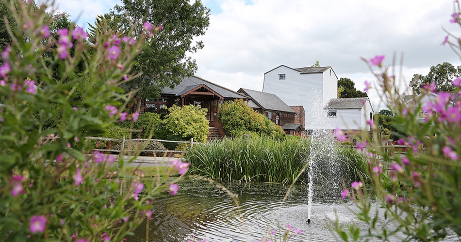 Image 3: Coltsford Mill