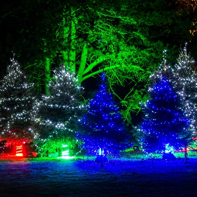 Christmas at Kew is returning for its ninth year