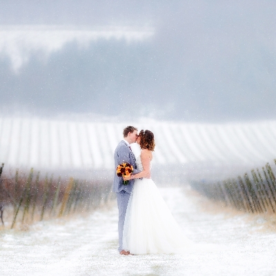 Say your vows at Denbies Wine Estate Limited