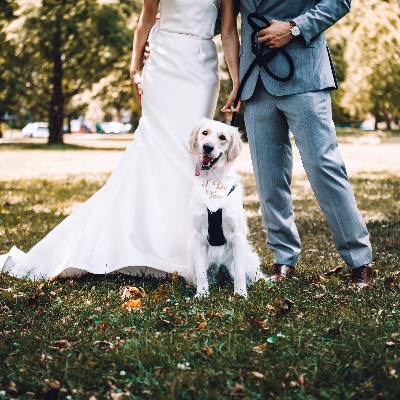 How to incorporate your beloved dog into your wedding
