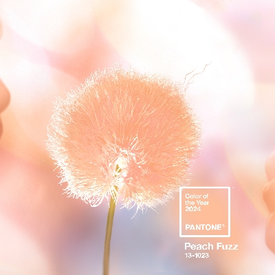 Wedding News: Feeling peachy with Pantone's Colour of the Year 2024 announcement
