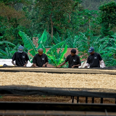 Macdonald Hotels & Resorts brew up a coffee partnership