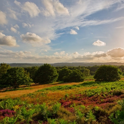 Hampton Estate offers free activities on Sunday 21st July