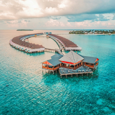 New Honeymoon Service Alert!