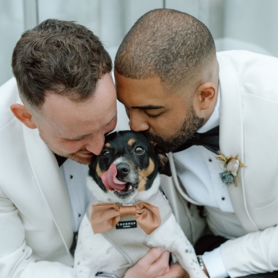 Wedding News: The new I Do, why dogs are becoming part of the modern UK wedding
