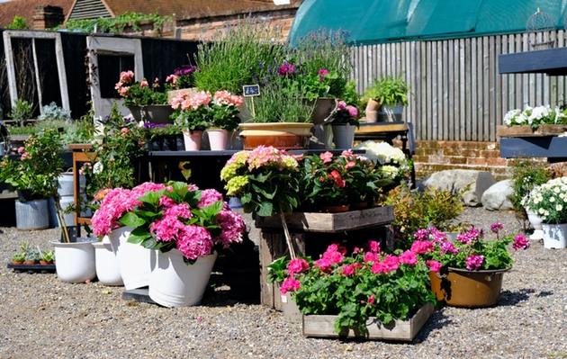 The Lily and Myrtle Flower School has moved to The Medicine Garden in Cobham.: Image 1