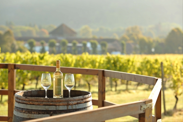 De Vere Horsley Estate has partnered with nearby Denbies Wine Estate to create a special wine-lovers package: Image 1