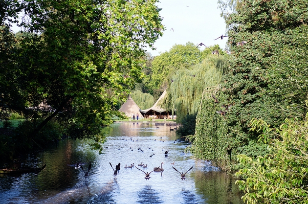 Busbridge Lakes was voted Best Pop-Up Wedding Venue at the UK Wedding Awards 2020: Image 1