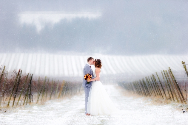 The vineyards at Denbies Wine Estate Limited covered in snow