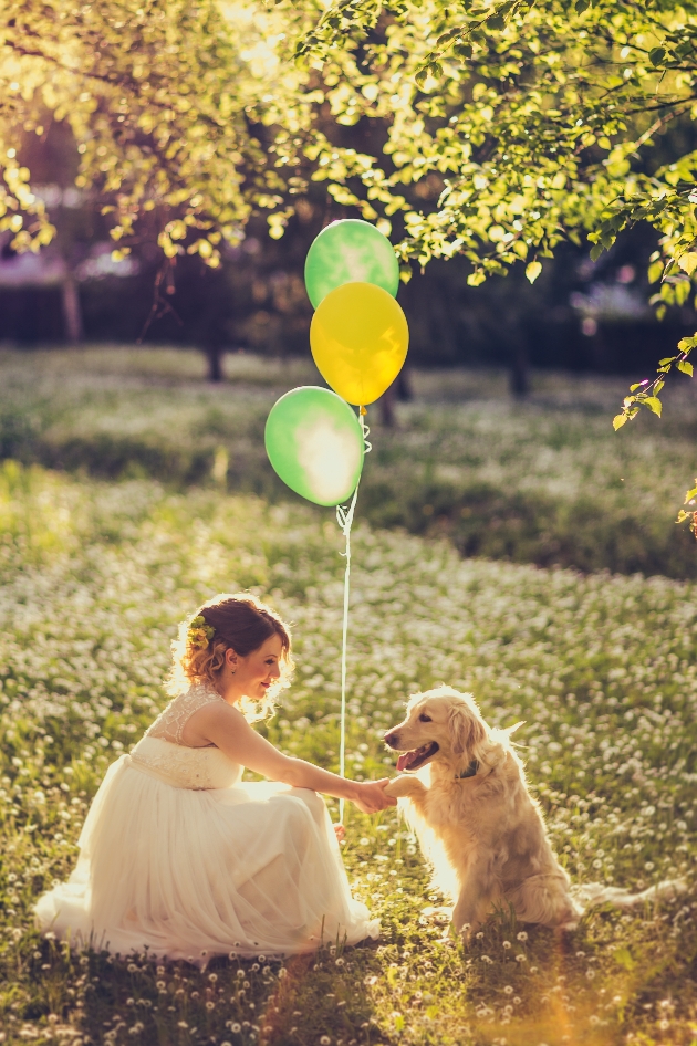 Dog and bride