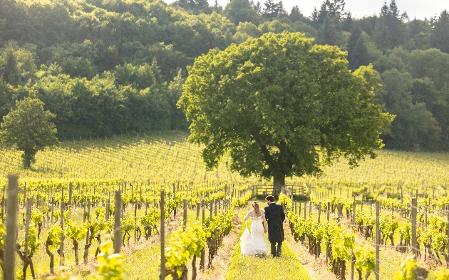 Bride and groom walking in a vineyard