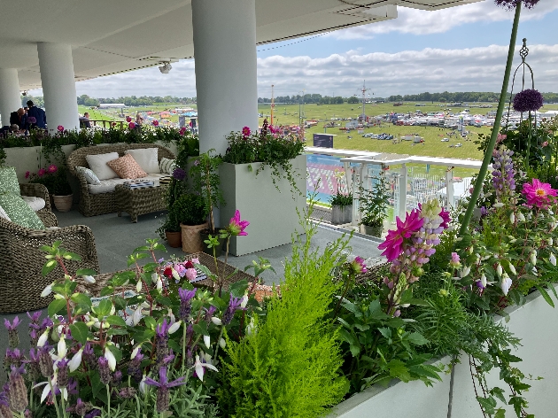 terrace of suite with seating looking out to grass areas 