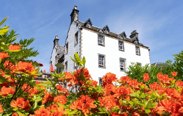 Prestonfield House exterior