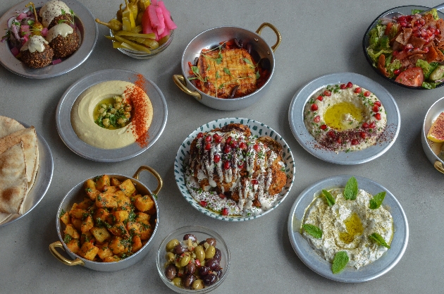 selected of meze plates at Lebnani in Reigate