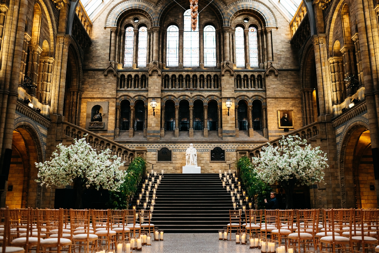 two huge white blossom trees in a cathedral