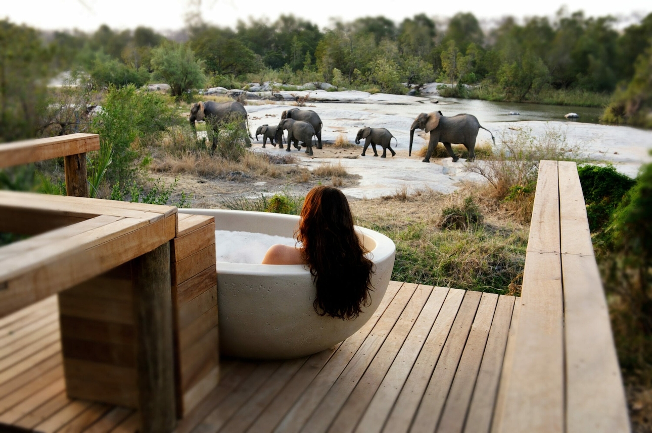 woman in bath outside looking at elephants walking past 