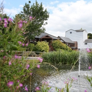 Coltsford Mill