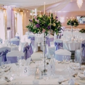 Distinctive Elegance