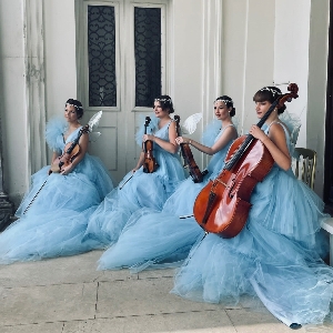 Jessie Wedding Violin