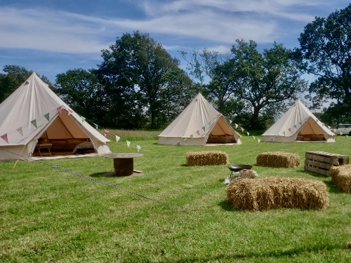 Image 1 from Fiesta Fields