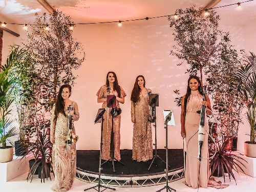 Jessie Wedding Violin