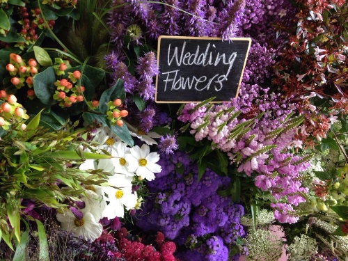 Floral Alchemy