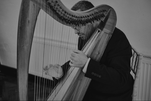 Mark Levin Contemporary Harpist: Main Image