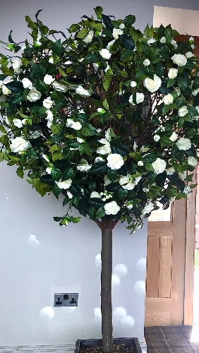 Image 4 from Wedding Day Hire