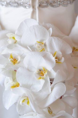 The Wright Choice Flowers