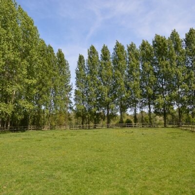 Image 4 from Merrist Wood Events and Meetings