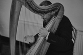 Mark Levin Contemporary Harpist: Image 1