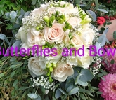 Thumbnail image 9 from Butterflies and Bows