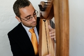 Thumbnail image 2 from Mark Levin Contemporary Harpist