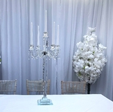 Thumbnail image 1 from Wedding Day Hire